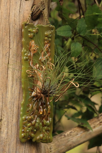 fused glass air plant holder tillandsia